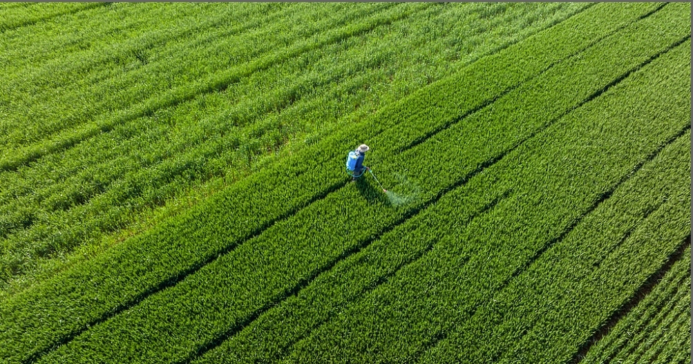 现代农业生产