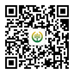 https://cdnoss.sqdsj.com.cn/17829008694146be34a8ca23c4c4480ec7e8c0c0d8adc.jpg